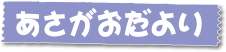 あさがおだより